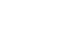 Nokia Siemens Network